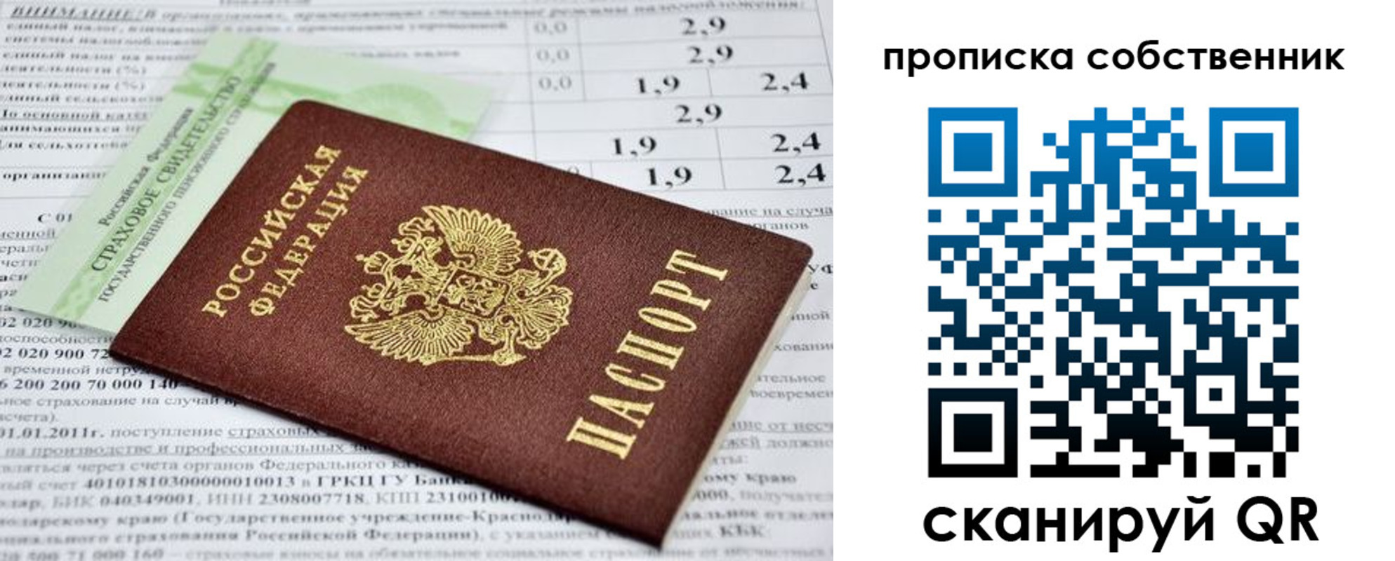 прописка 2025 в Ярославской области